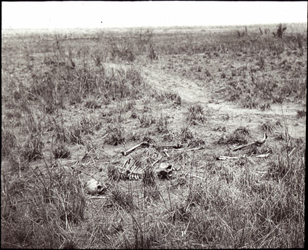 Dinka skeletal remains