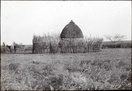 Dinka royal grave-shrine