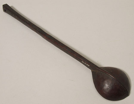 Northern Larim spoon