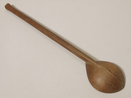 Southern Larim spoon