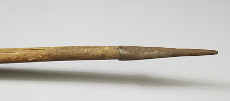 Southern Larim spear