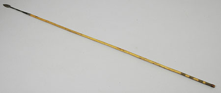 Southern Larim arrow