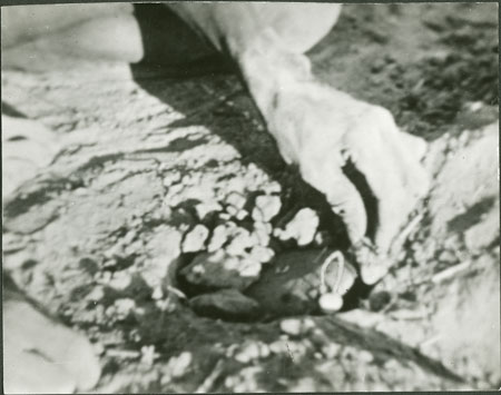 Dinka man with animal trap