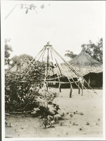 Zande hut construction