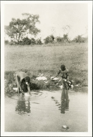 Zande women preparing manioc at stream