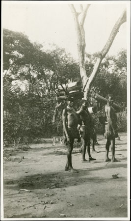 Zande women carrying circumcison gifts