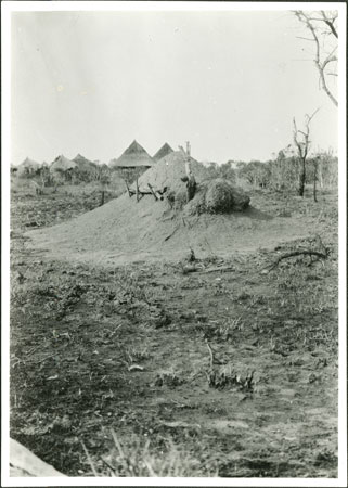 ?Grave mound in Zandeland