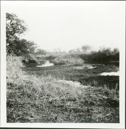 Akobo river near Pochala