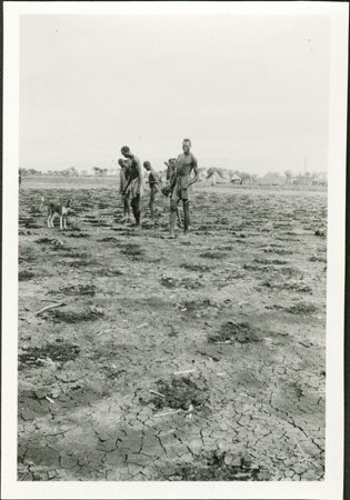 Sowing field in Anuakland