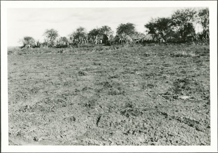 Anuak village stockade