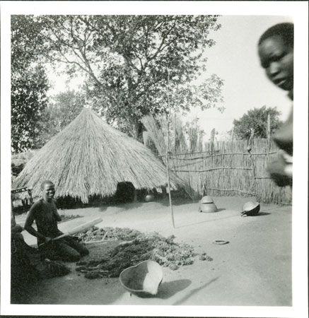 Anuak woman beating millet