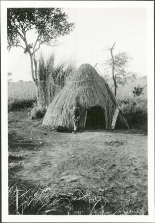 Anuak dry season shelter