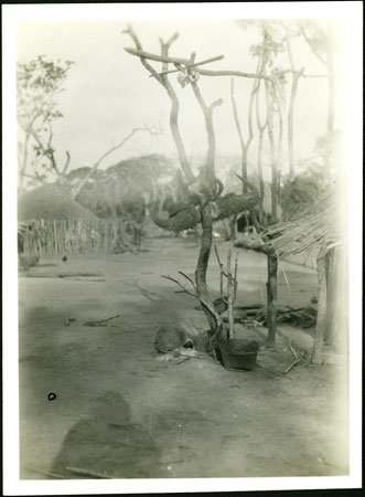 Beli rain-maker's homestead