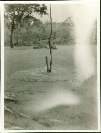 Bongo rain and hunting medicine posts