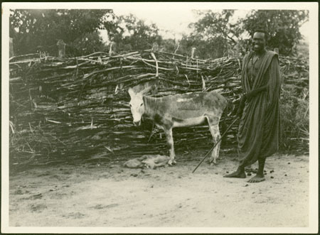 Ingessana man with Evans-Pritchard's donkey