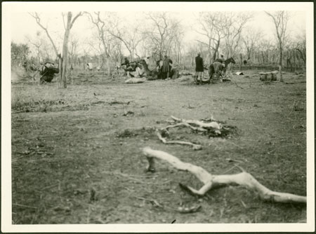 Evans-Pritchard's camp in the bush