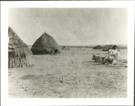 Nuer homestead with Evans-Pritchard's tent