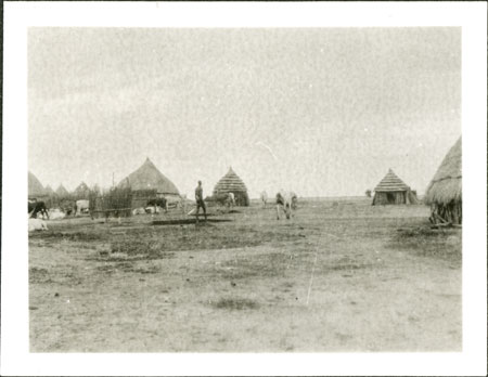 Nuer homestead and cattle camp
