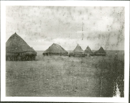 Nuer homestead 