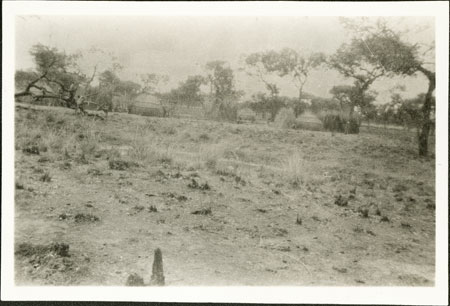 Nuer cattle camp 