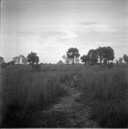 Path to Nuer homestead