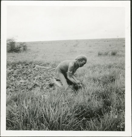 Nuer man clearing garden