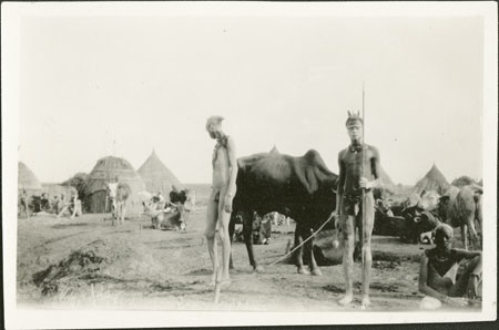Nuer men at cattle camp
