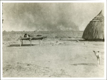 Nuer homestead and grass firing