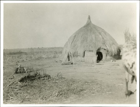 Nuer hut