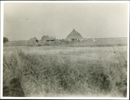 Nuer homestead 