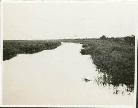 Bahr-el-Ghazal swamp