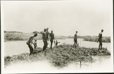 Nuer men clearing sudd