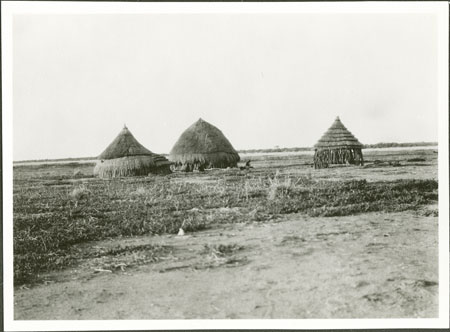 Nuer homestead