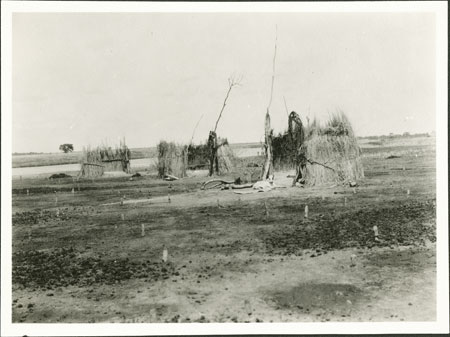 Nuer cattle camp windscreens