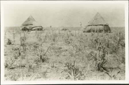 Nuer huts