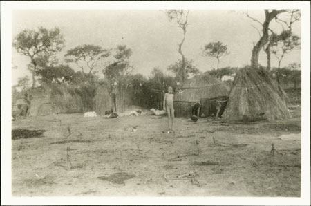 Nuer cattle camp 
