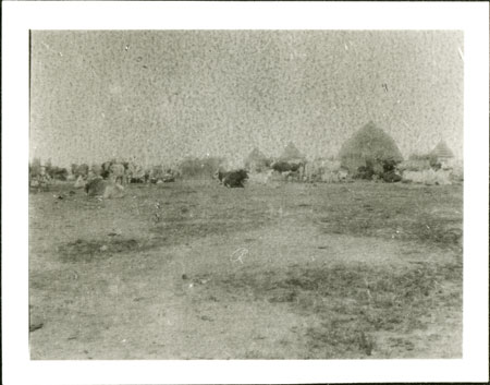 Nuer cattle camp 