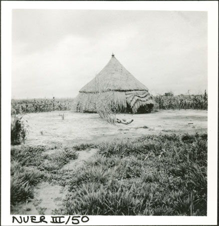 A Nuer homestead