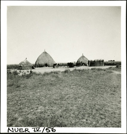 Nuer homestead