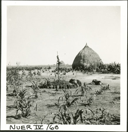 Nuer colwic shrine