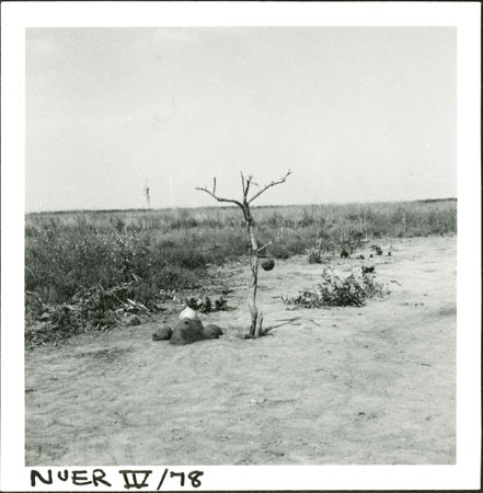 Nuer spirit-shrine