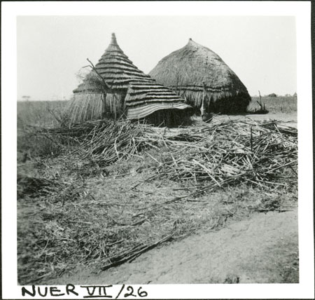 Nuer homestead