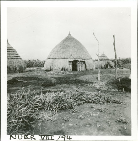 Nuer homestead