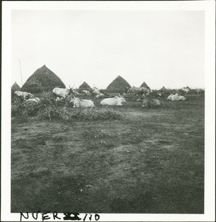 Nuer homestead