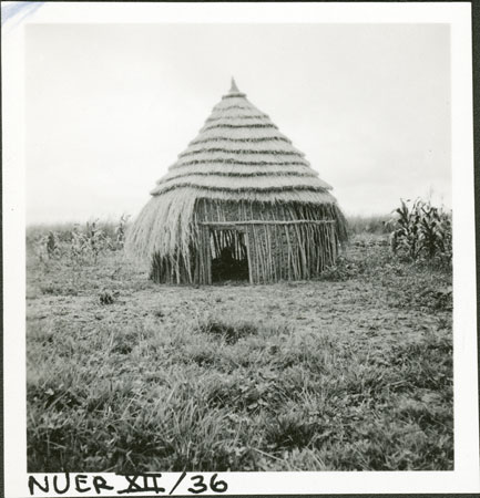 Nuer hut type