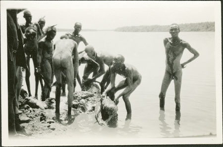 Nuer men cutting up crocodile