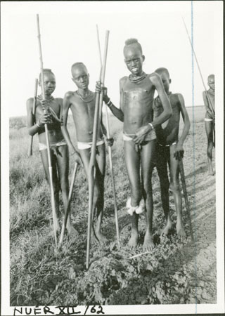 Nuer youths with harpoons