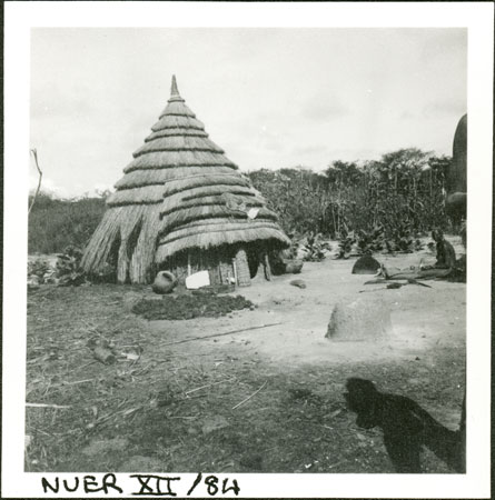 Nuer hut and firescreen