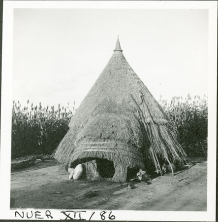 Nuer hut