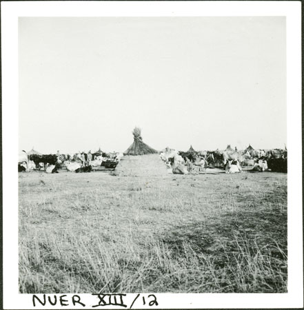 Nuer cattle camp